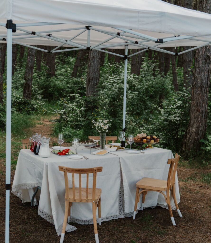 Picnic in the Drunken Forest