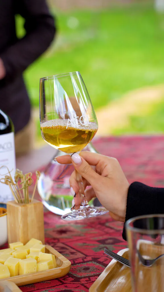 Estate Tour & Tasting Experience